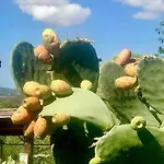 Buganvillea Cottage: Un Nido A 200 Mt. Dal Mare 度假居
