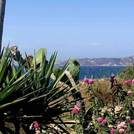 Prázdninový dům Buganvillea Cottage: Un Nido A 200 Mt. Dal Mare *