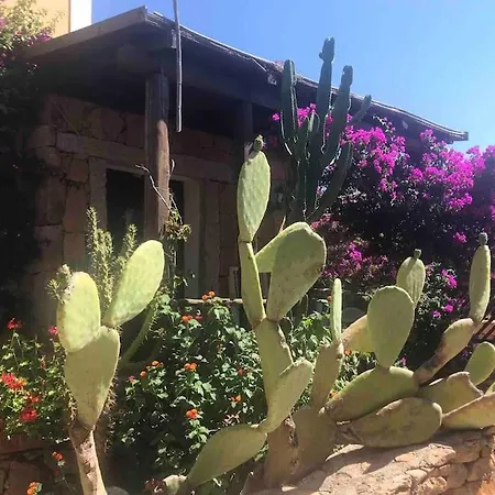 度假居 Buganvillea Cottage: Un Nido A 200 Mt. Dal Mare