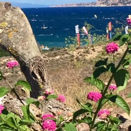 Buganvillea Cottage: Un Nido A 200 Mt. Dal Mare Holiday home