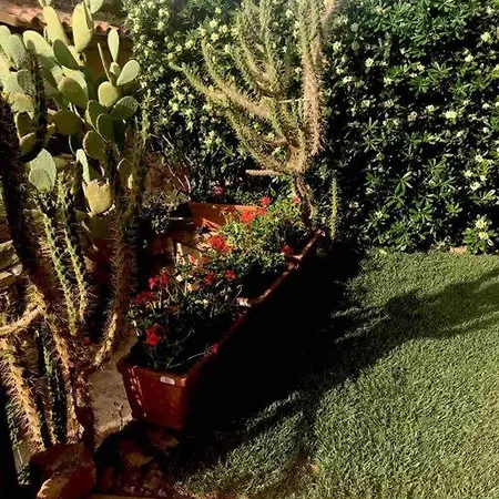 Buganvillea Cottage: Un Nido A 200 Mt. Dal Mare *