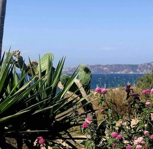 Nyaraló Buganvillea Cottage: Un Nido A 200 Mt. Dal Mare *