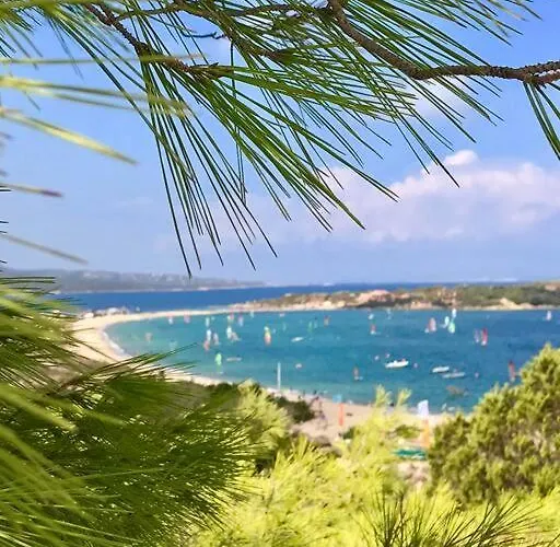 Casa vacanze Buganvillea Cottage: Un Nido A 200 Mt. Dal Mare Porto Pollo