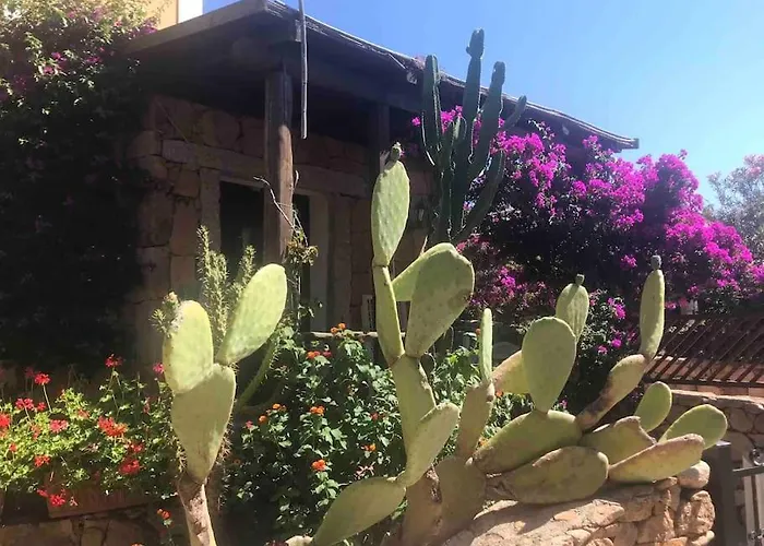 度假居 Buganvillea Cottage: Un Nido A 200 Mt. Dal Mare