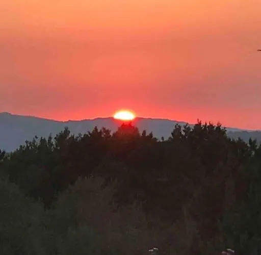 Buganvillea Cottage: Un Nido A 200 Mt. Dal Mare Casa vacanze Porto Pollo