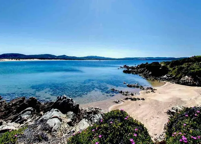 Buganvillea Cottage: Un Nido A 200 Mt. Dal Mare * 波多博罗