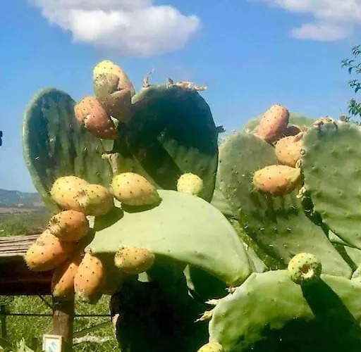 Buganvillea Cottage: Un Nido A 200 Mt. Dal Mare Casa vacanze