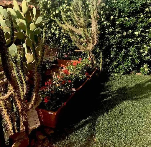 Buganvillea Cottage: Un Nido A 200 Mt. Dal Mare *