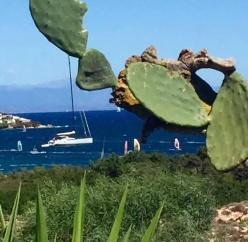 Buganvillea Cottage: Un Nido A 200 Mt. Dal Mare 度假居 波多博罗